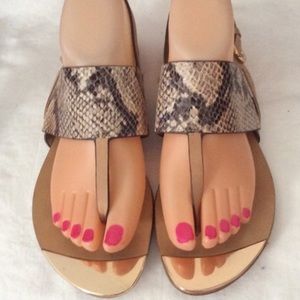 ISOLA PRESTA SNAKE SKIN GOLD TOE FLATS